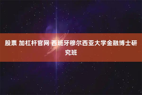 股票 加杠杆官网 西班牙穆尔西亚大学金融博士研究班