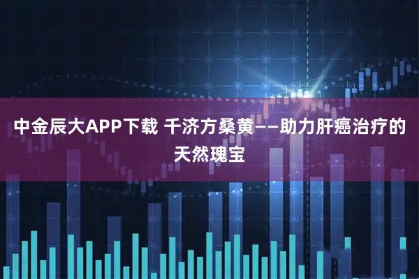 中金辰大APP下载 千济方桑黄——助力肝癌治疗的天然瑰宝