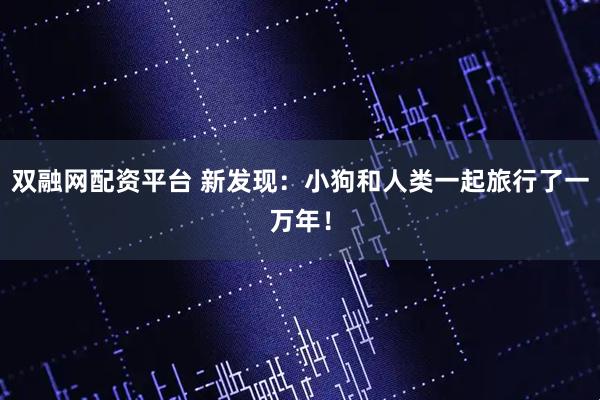 双融网配资平台 新发现：小狗和人类一起旅行了一万年！