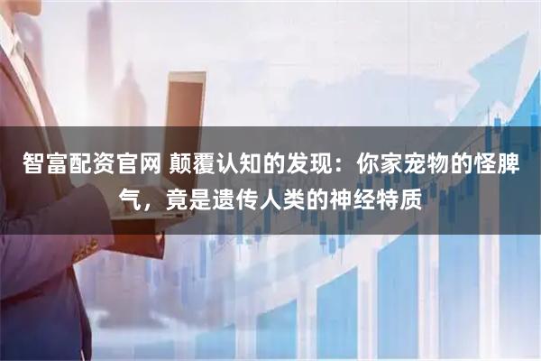 智富配资官网 颠覆认知的发现：你家宠物的怪脾气，竟是遗传人类的神经特质