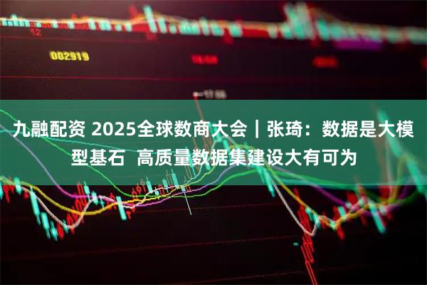 九融配资 2025全球数商大会｜张琦：数据是大模型基石  高质量数据集建设大有可为