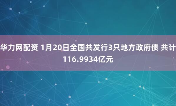 华力网配资 1月20日全国共发行3只地方政府债 共计116.9934亿元